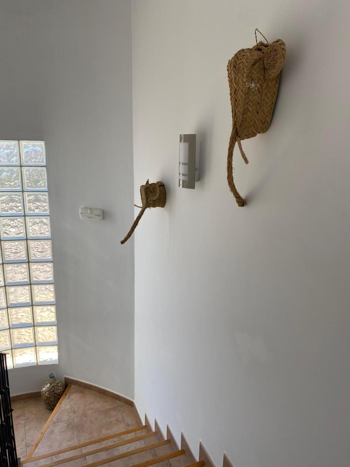 Hostal Espai Mediterrani 拉波夫拉德瓦利沃纳 外观 照片